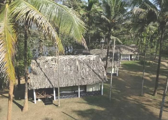 Suryanelli Camp, Munnar 2